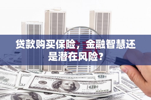 滦县贷款购买保险，金融智慧还是潜在风险？