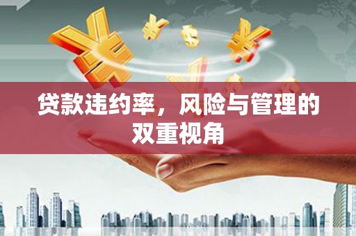 滦县贷款违约率，风险与管理的双重视角
