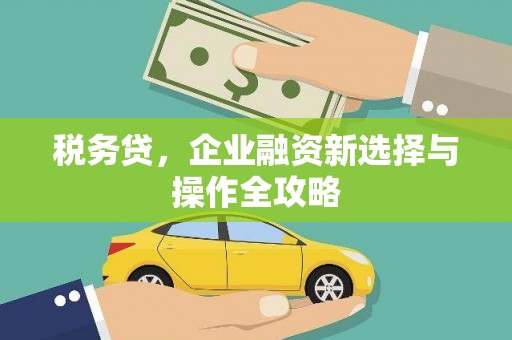 滦县税务贷，企业融资新选择与操作全攻略