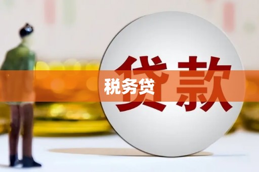 滦县税务贷