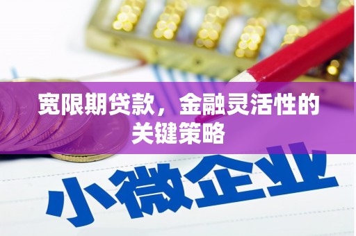 滦县宽限期贷款，金融灵活性的关键策略