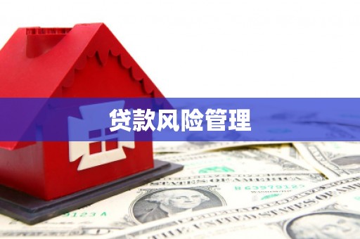 滦县贷款风险管理