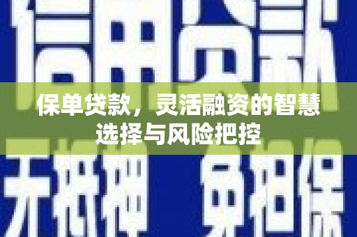 滦县保单贷款，灵活融资的智慧选择与风险把控