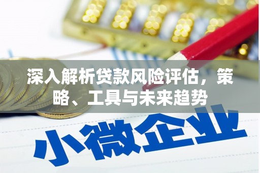 滦县深入解析贷款风险评估，策略、工具与未来趋势