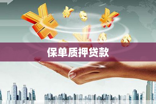 滦县保单质押贷款