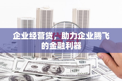 滦县企业经营贷，助力企业腾飞的金融利器