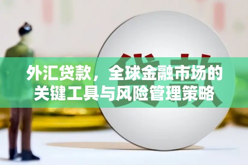 滦县外汇贷款，全球金融市场的关键工具与风险管理策略