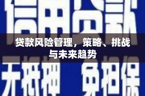 滦县贷款风险管理，策略、挑战与未来趋势