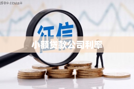 滦县小额贷款公司利率