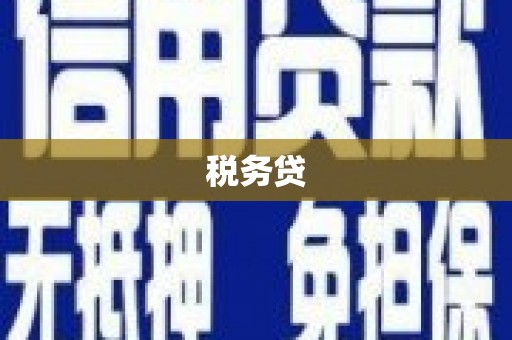 滦县税务贷