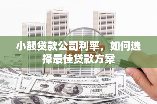 滦县小额贷款公司利率，如何选择最佳贷款方案