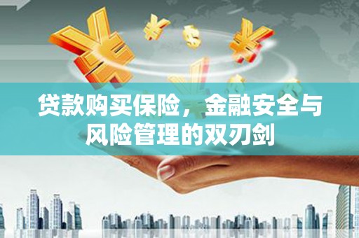 滦县贷款购买保险，金融安全与风险管理的双刃剑