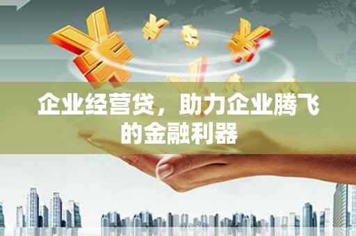 滦县企业经营贷，助力企业腾飞的金融利器
