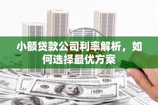 滦县小额贷款公司利率解析，如何选择最优方案