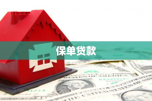 滦县保单贷款