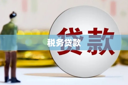 滦县税务贷款