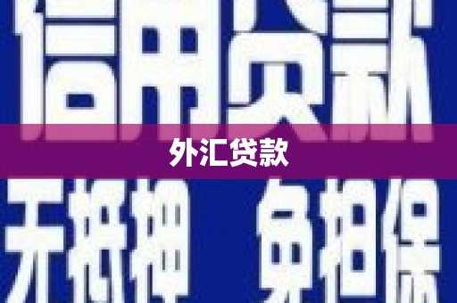 滦县外汇贷款