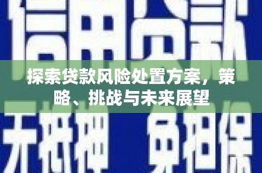 滦县探索贷款风险处置方案，策略、挑战与未来展望