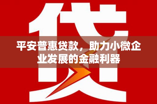 滦县平安普惠贷款，助力小微企业发展的金融利器