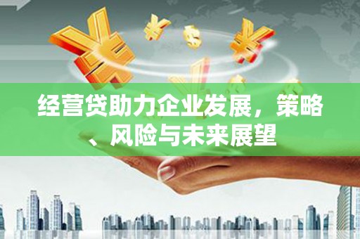 滦县经营贷助力企业发展，策略、风险与未来展望