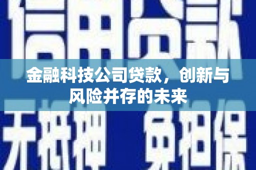 滦县金融科技公司贷款，创新与风险并存的未来
