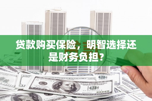 滦县贷款购买保险，明智选择还是财务负担？