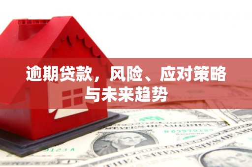 滦县逾期贷款，风险、应对策略与未来趋势