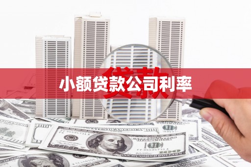 滦县小额贷款公司利率