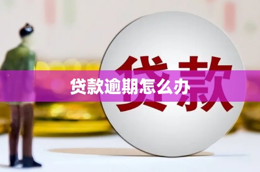 滦县贷款逾期怎么办