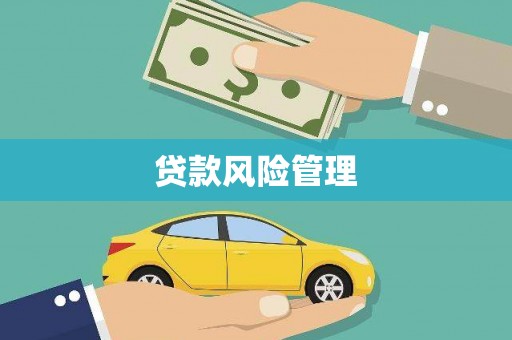 滦县贷款风险管理