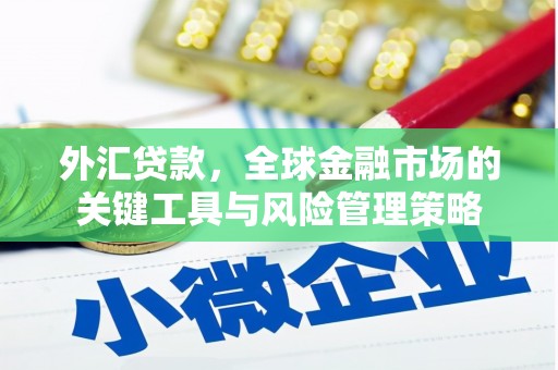 滦县外汇贷款，全球金融市场的关键工具与风险管理策略
