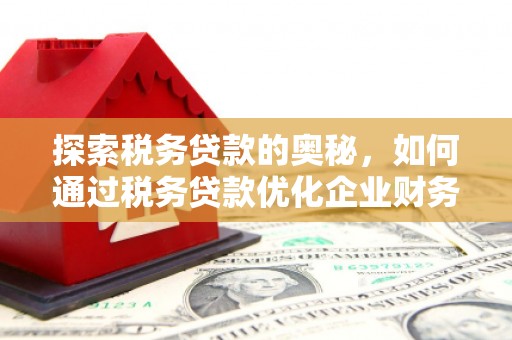 滦县探索税务贷款的奥秘，如何通过税务贷款优化企业财务