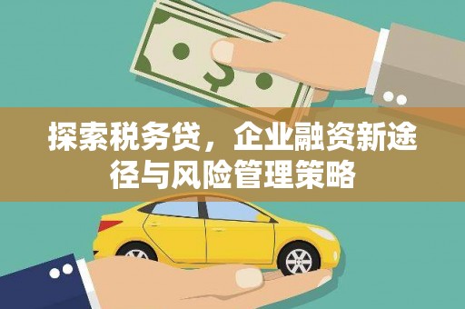 滦县探索税务贷，企业融资新途径与风险管理策略