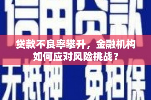 滦县贷款不良率攀升，金融机构如何应对风险挑战？