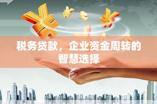 滦县税务贷款，企业资金周转的智慧选择