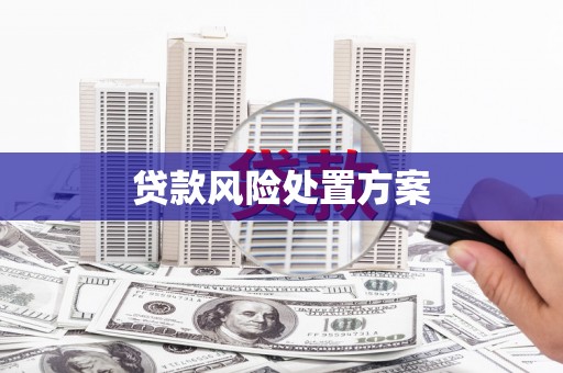 滦县贷款风险处置方案