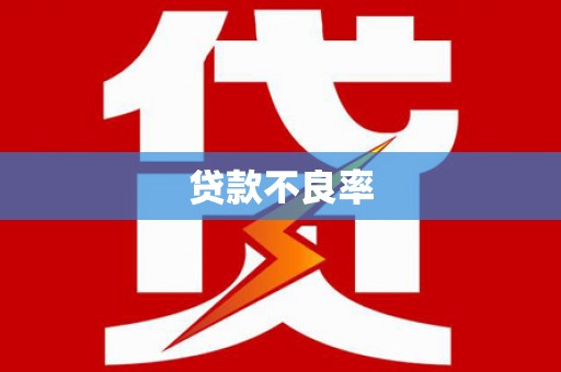 滦县贷款不良率