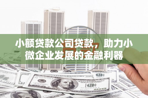 滦县小额贷款公司贷款，助力小微企业发展的金融利器