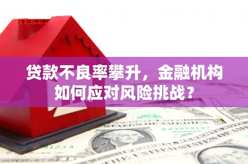 滦县贷款不良率攀升，金融机构如何应对风险挑战？