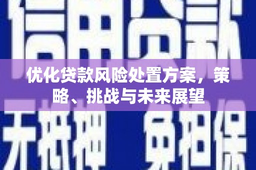 滦县优化贷款风险处置方案，策略、挑战与未来展望