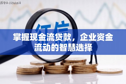 滦县掌握现金流贷款，企业资金流动的智慧选择