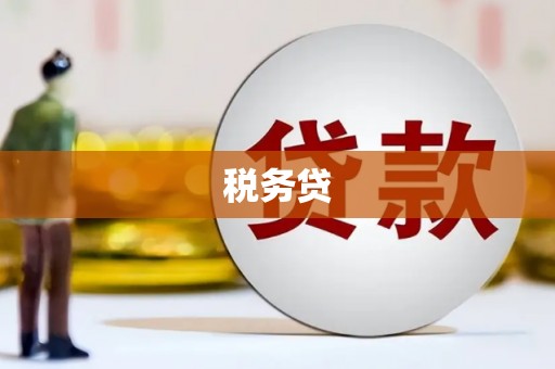 滦县税务贷