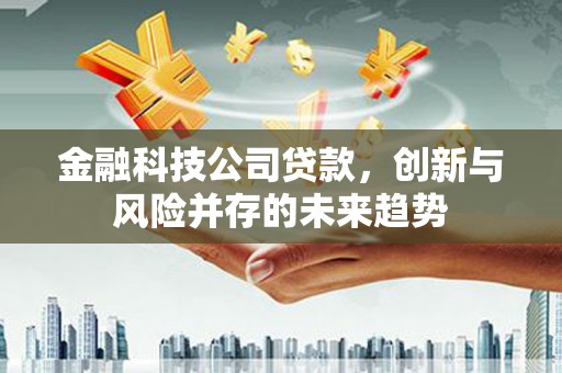 滦县金融科技公司贷款，创新与风险并存的未来趋势