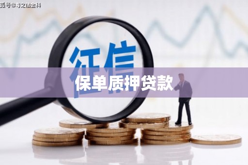 滦县保单质押贷款