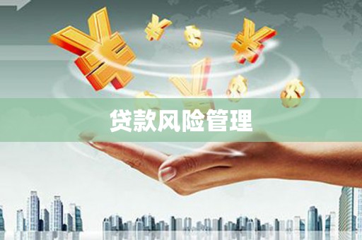 滦县贷款风险管理