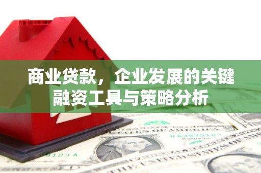 滦县商业贷款，企业发展的关键融资工具与策略分析