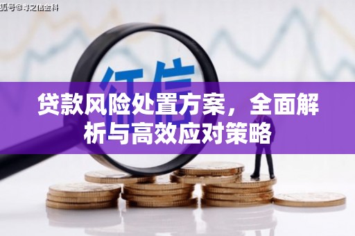 滦县贷款风险处置方案，全面解析与高效应对策略