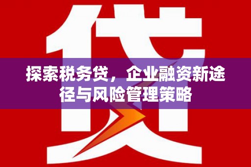滦县探索税务贷，企业融资新途径与风险管理策略