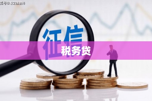 滦县税务贷