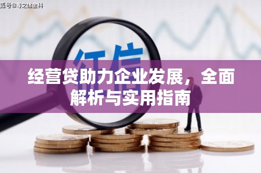滦县经营贷助力企业发展，全面解析与实用指南